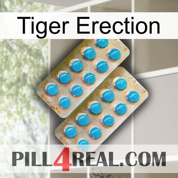 Tiger Erection new08.jpg